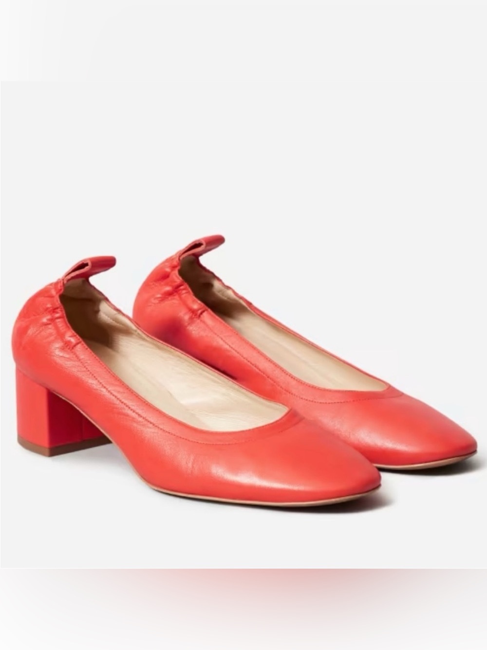 Everlane The Day Heel pumps